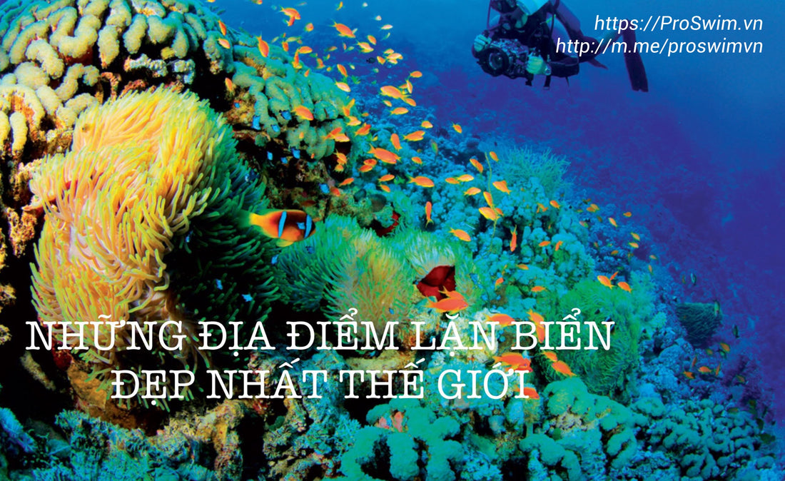 NHỮNG ĐỊA ĐIỂM DÀNH CHO LẶN BIỂN ĐẸP NHẤT TRÊN THẾ GIỚI
